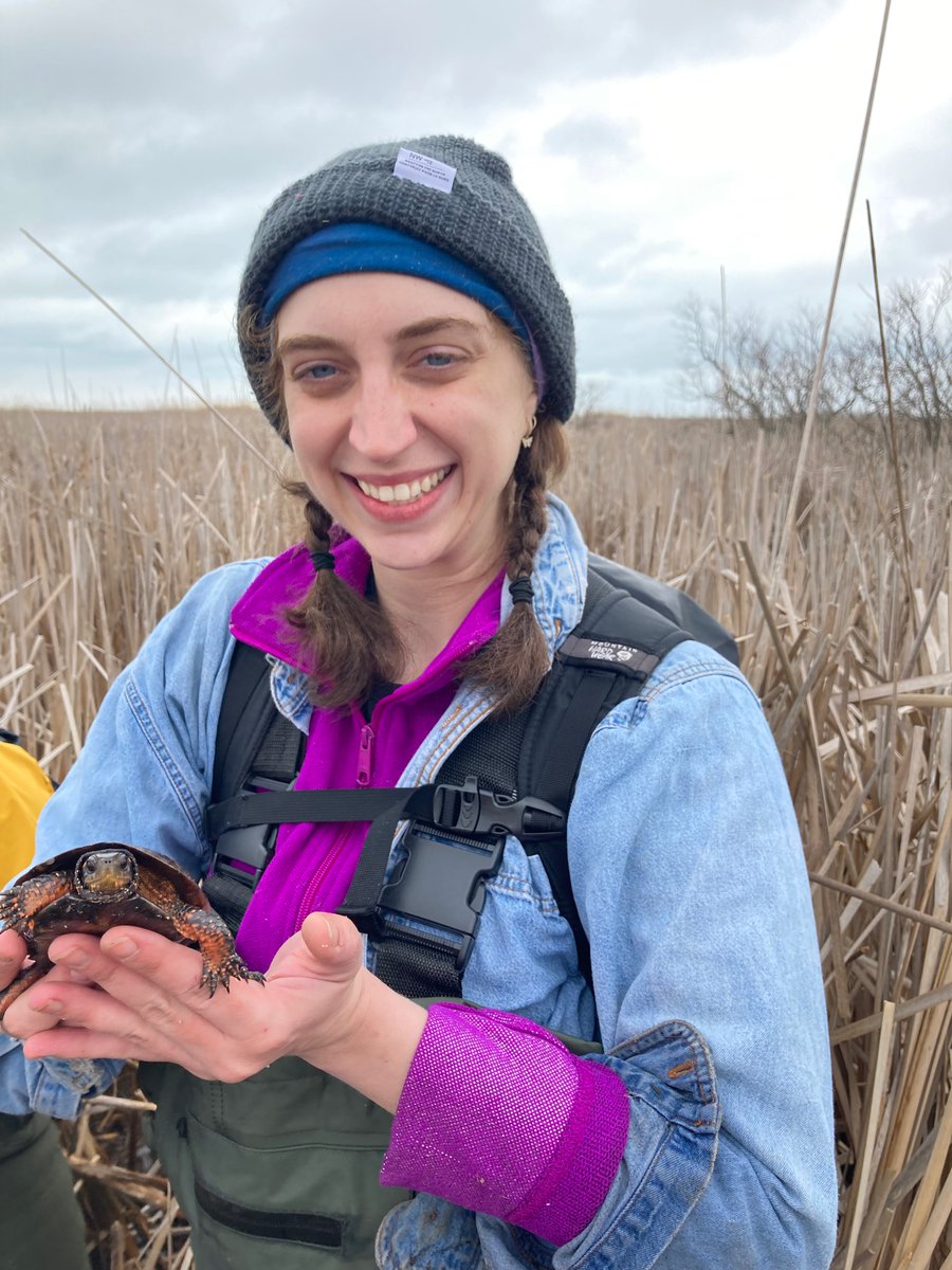 Christina_Davy's tweet photo. 2022 season of the #WetlandsAndReptiles project is in full swing 🥰 https://t.co/ebhrlhCIAF