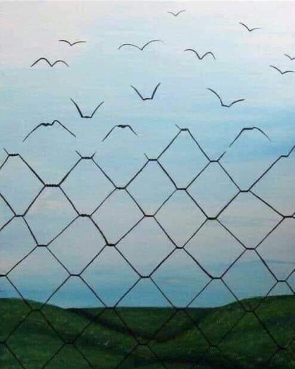 Michelle Beukenkamp (Mick) (@beukenkampm) on Twitter photo 