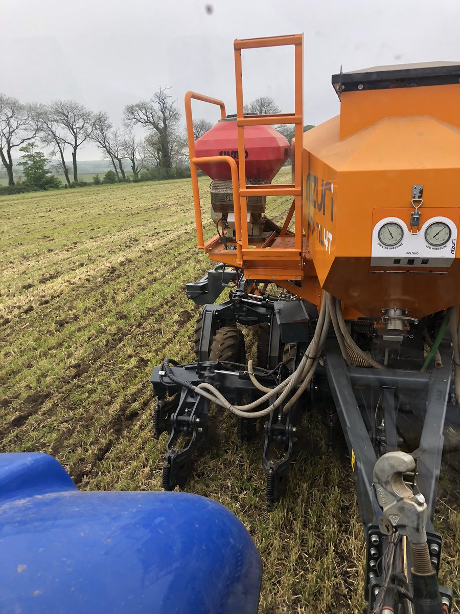 Home grown protein. Lupins going in today in South Wales.  <a href="/cropwalkerchris/">Chris Taylor</a> <a href="/AgriiUK/">Agrii</a> @MzuriDrills