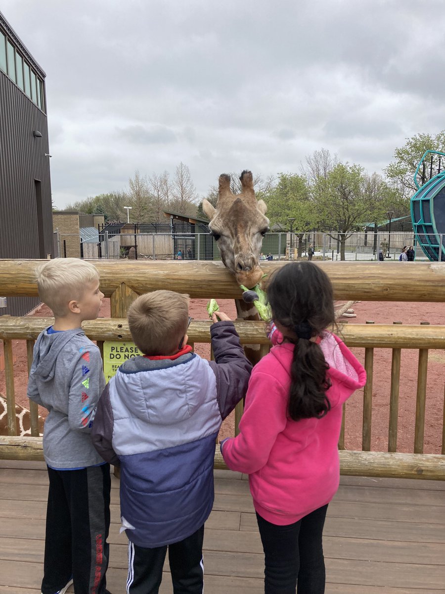 ashariseclassen's tweet photo. A BIG THANKS to the  Exeter-Milligan Boosters for the 🚂 ride &amp; 🥬 to feed the 🦒 #emwolves https://t.co/qntAKXk2AL