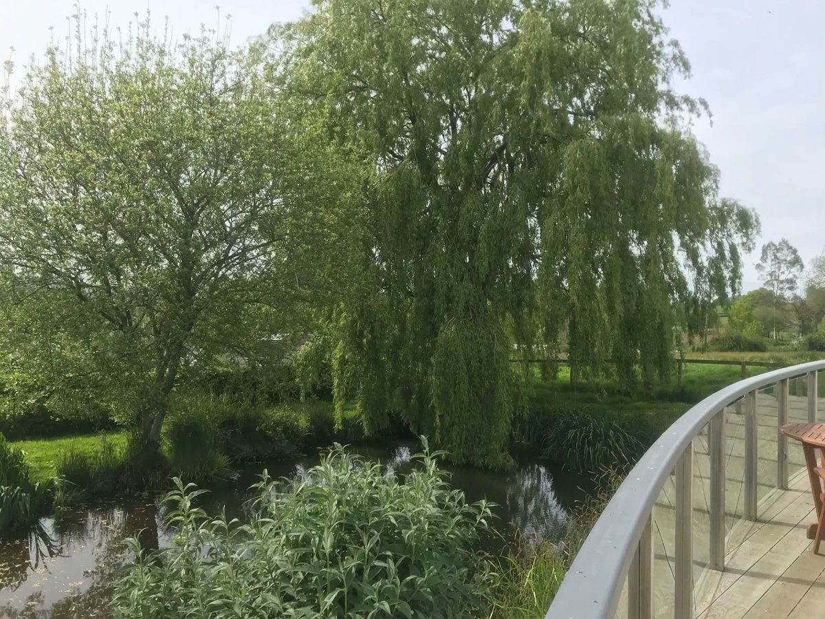 DBETrust's tweet image. How is everyone enjoying the sun? Making the most of it at @dbec_venue #bringonsummer #devon #community