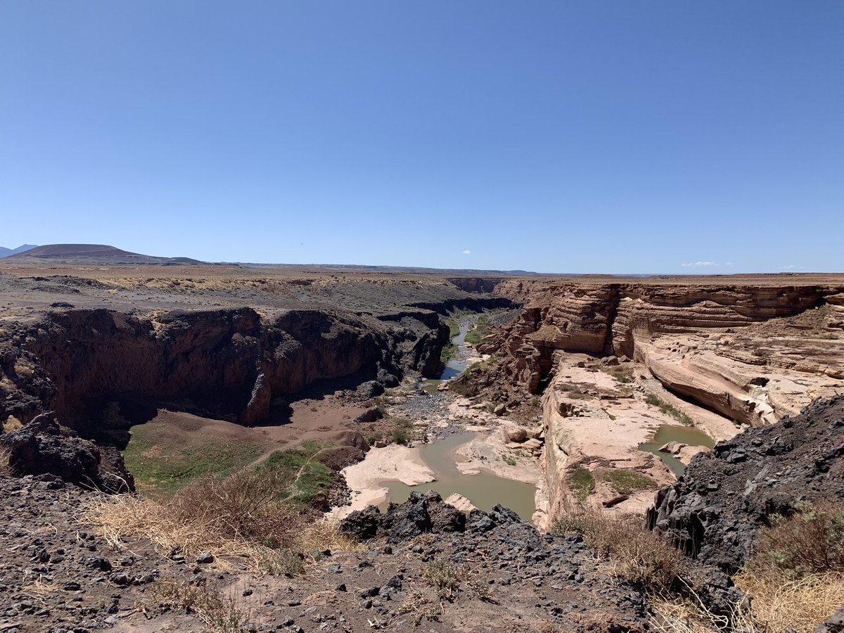simonaruso's tweet photo. Lava flows and desiccation cracks at Grand Falls, Arizona. Ground truthing some satellite imagery during the #PS9605 field course! https://t.co/1nM2hDpx1N