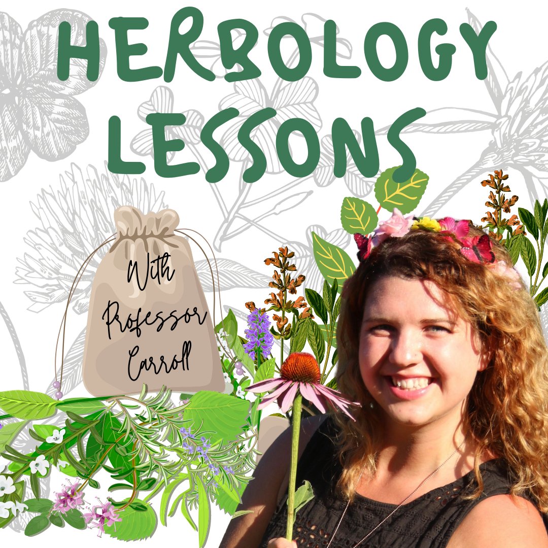 Ever fancied yourself as a Herbology professor? Come to a lesson and find out! Included in  the price of your ticket for Dublin Wizard Con!
