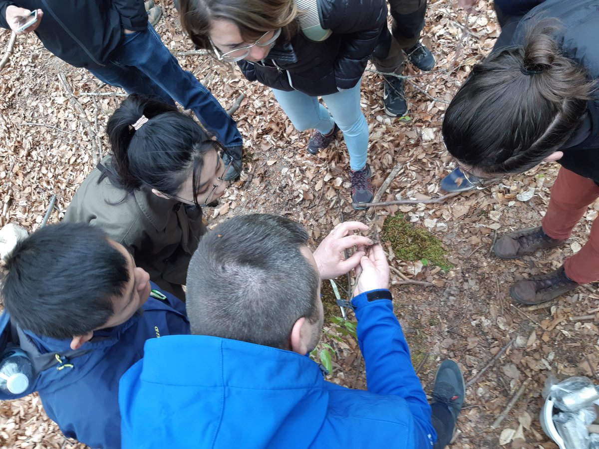 SilvaNova_NNF's tweet photo. A few snapshots from our @SilvaNova_NNF workshop. Discussions and demonstrations of samplings methods, techniques and protocols - sharing knowledge 🤩🦠🪱🕸️🌾🌱🍄
@science_ku @tedersoo @RiisSoil @KarelleRheault @PerGundersenKU @sebastiankpr @klausslar 
#afforestation #microbiome https://t.co/WGObzeGLYq