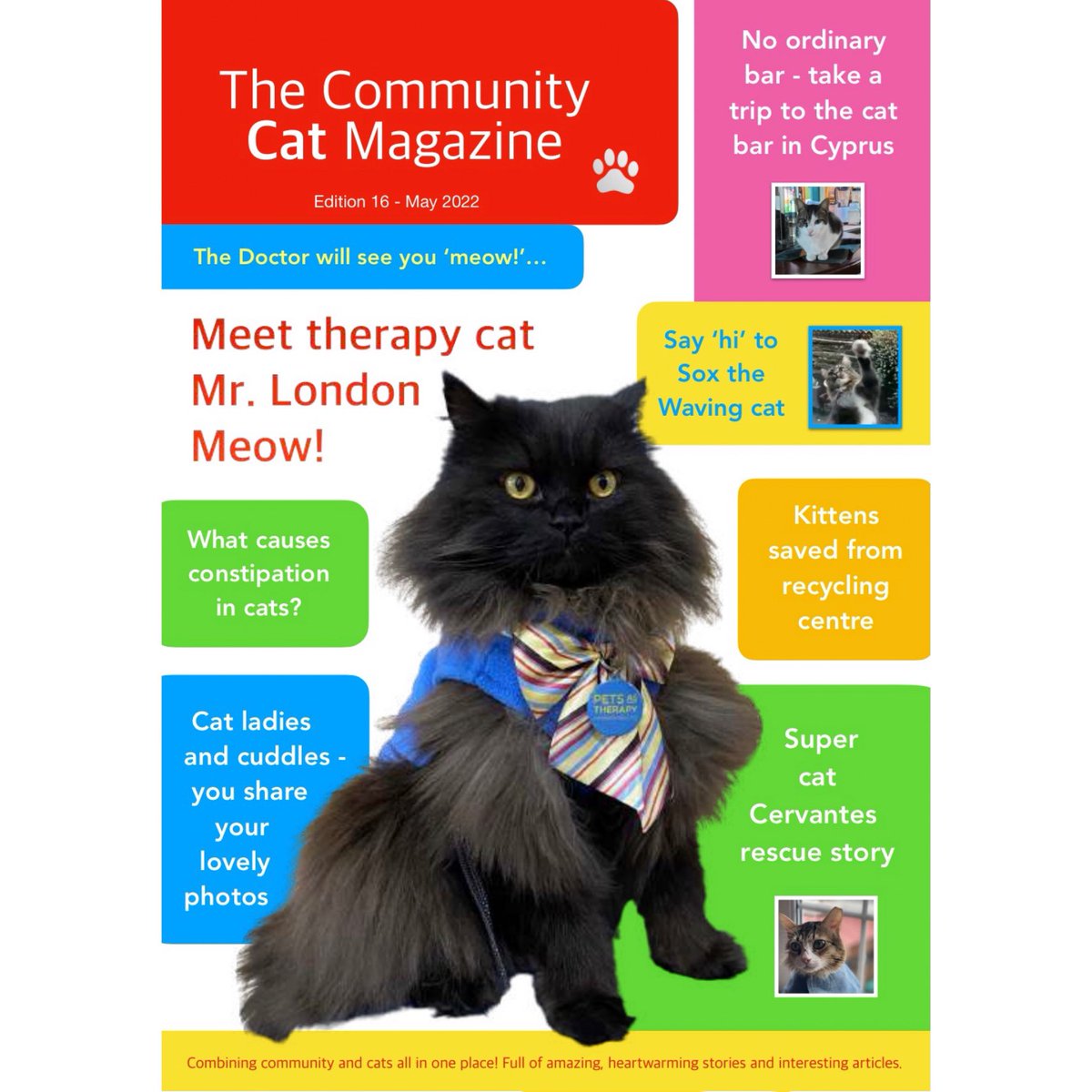 The Community Cat Magazine EDITION 16 is here! It’s £3.99 digitally - Truffles the opticians cat is the cover cat! It’s full of amazing stories and articles! Click here or DM to order: moggiesnmore.com/product/the-co…