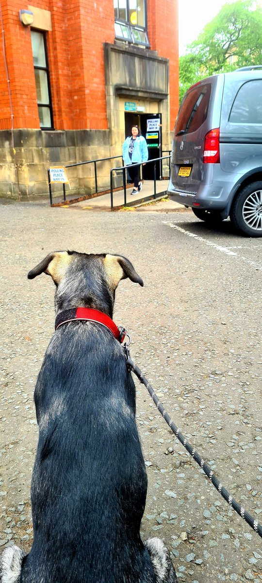 orpheusfound's tweet photo. "But I thought we were going for chews, not going to choose!" 🙄 https://t.co/DKXE5NYjIF