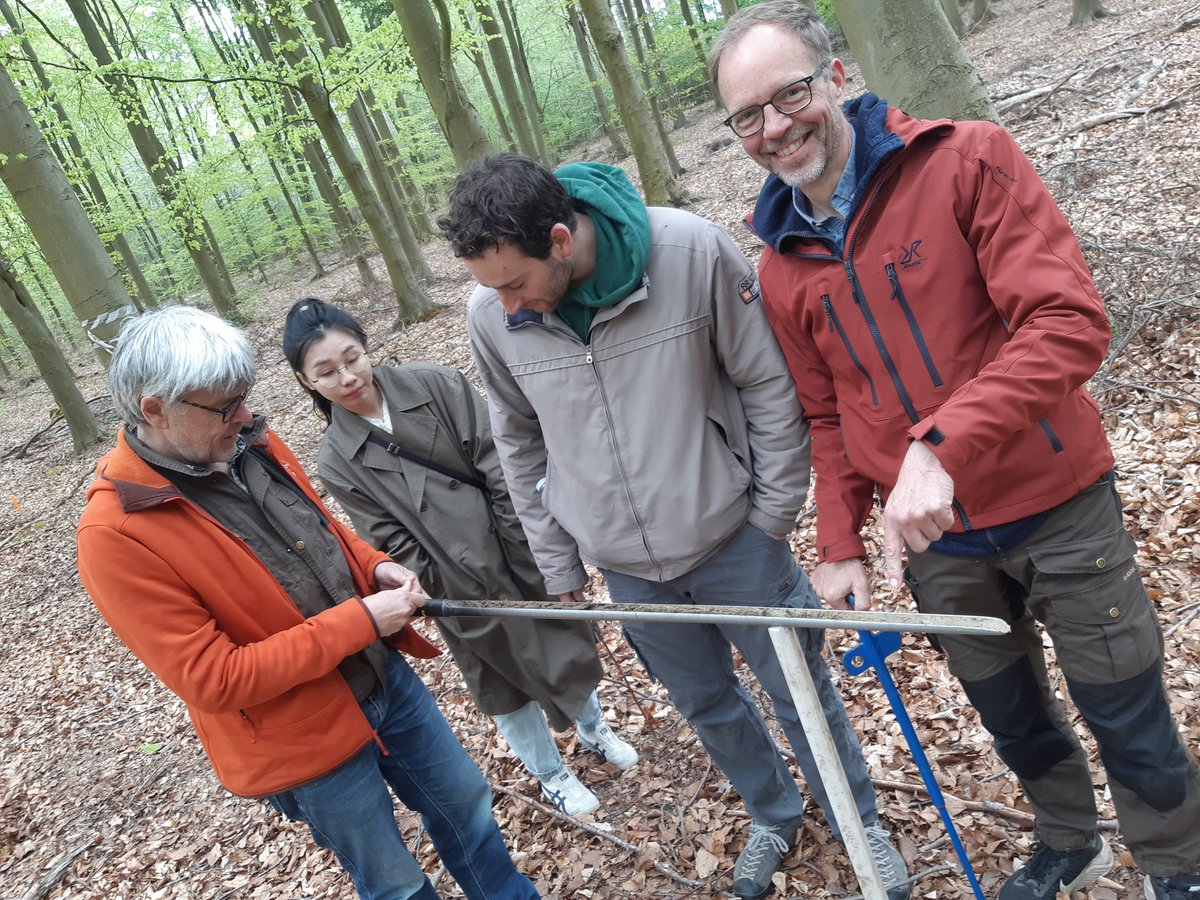 SilvaNova_NNF's tweet photo. A few snapshots from our @SilvaNova_NNF workshop. Discussions and demonstrations of samplings methods, techniques and protocols - sharing knowledge 🤩🦠🪱🕸️🌾🌱🍄
@science_ku @tedersoo @RiisSoil @KarelleRheault @PerGundersenKU @sebastiankpr @klausslar 
#afforestation #microbiome https://t.co/WGObzeGLYq