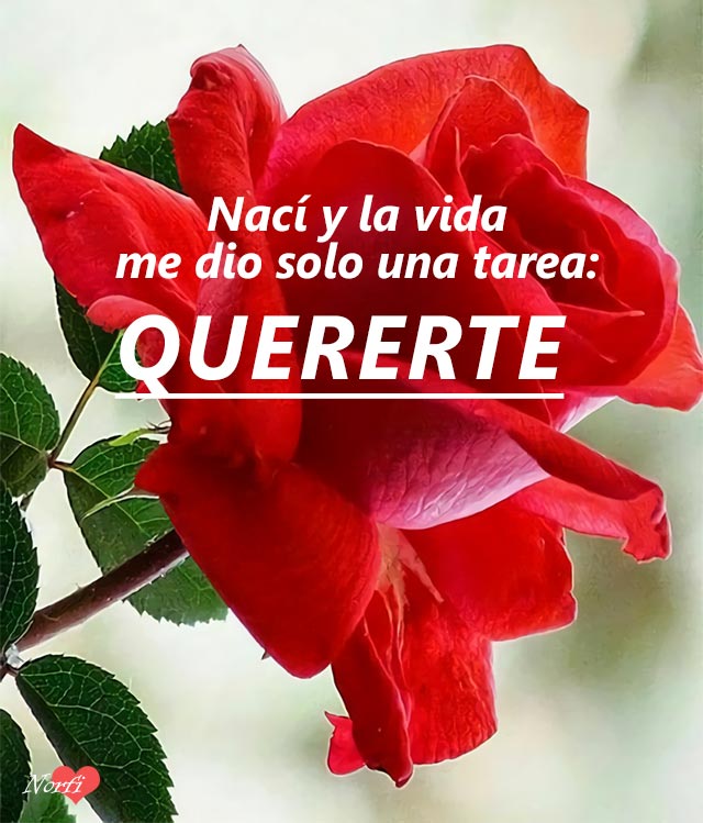 @CeciCS14 @LizyAcosta4 @YasmaniPG @RobertoQbaDC @mesa_tabares @Rogeliorodri89 @Alenamf19 @alinaacosta16 @Gloria_cuba75 @PepeAnt40087655 @go91fenix En el #DiaMundialDeLaContraseña  existe una que todos conocemos, abre muchas puertas y sin embargo no decimos mucho.

TE QUIERO 🔑❤🤗🌹

Al que le sirva el sayo ........
#ElSayoDeCeci.....
#Qbad ❤ Z