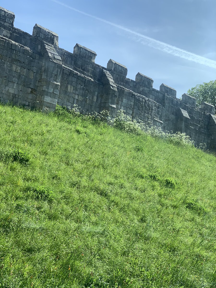 MrsBeeBrown's tweet photo. York is such a beautiful place #sciencecourse #cpd https://t.co/E2FdzB2LhP