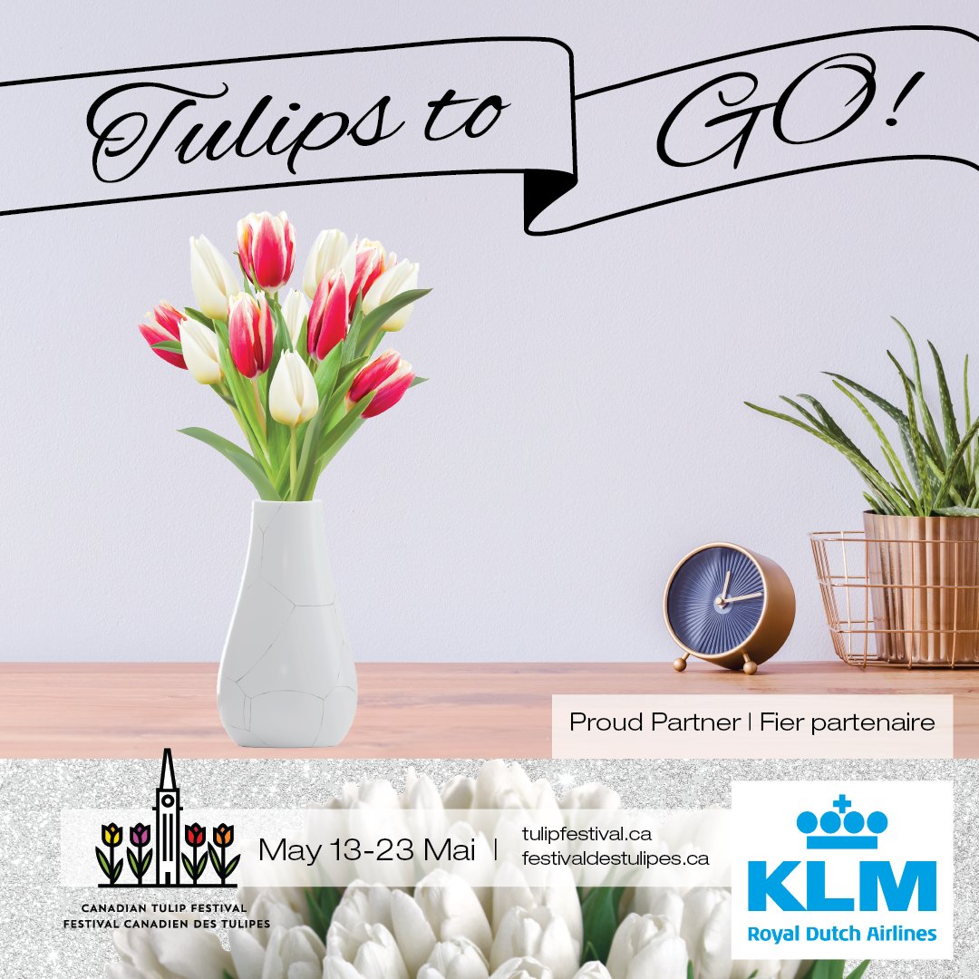 🌷 12 Stems for $20 with next-day delivery or curbside pickup available! ✈️ Plus, you could WIN a Trip for 2 to Amsterdam from KLM Royal Dutch Airlines. Get yours here: tulipfestival.ca/product/cut-tu… #tulips #freshflowers #cdntulipfest