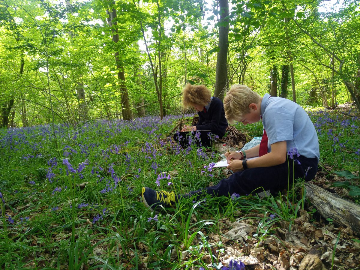 ArtCothill's tweet photo. Our senior art club are making the most of the bluebells today. #spring #prepschoolart #weloveart #youngartists https://t.co/Vi0URulsNy