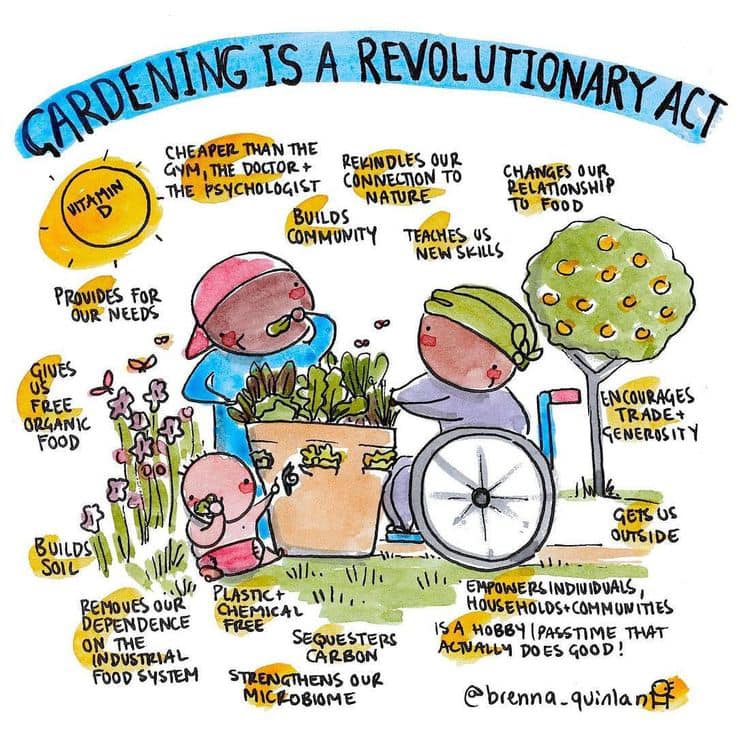 againstmonsanto's tweet photo. Gardening is a revolutionary act @BrennaQuinlan https://t.co/wEVrZbE0H7