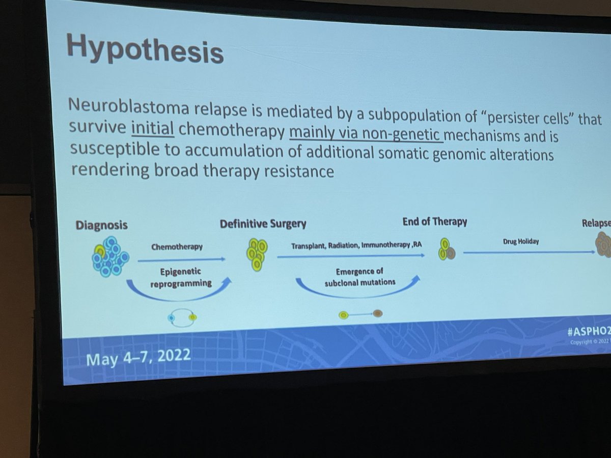 Jason Freedman (@jasonfreedmanmd) on Twitter photo Kudos to Liron Grossman for a great talk on relapse and persister cells in neuroblastoma! <a href="/CHOPCancerCntr/">Cancer Center @ CHOP</a> #ASPHO2022 Kudos to Liron Grossman for a great talk on relapse and persister cells in neuroblastoma! <a href="/CHOPCancerCntr/">Cancer Center @ CHOP</a> #ASPHO2022