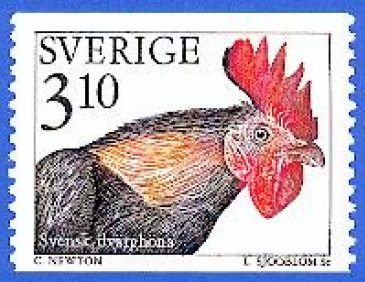 veckans kött tweet media