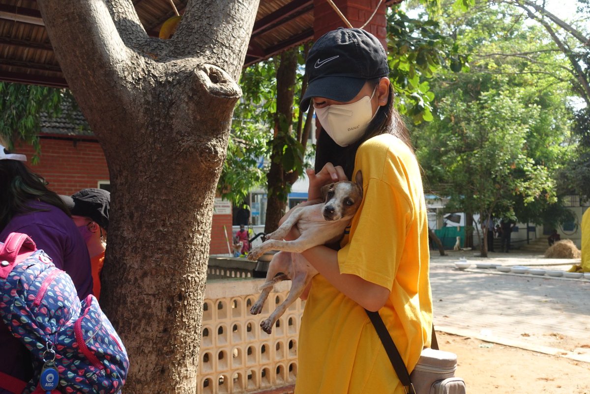 AISCAthletics's tweet image. #AISCASA Roots &amp;amp; Shoots advisors and students visited Blue Cross last weekend. A huge shout out to the team for taking an initiative to make a difference for animals, people and the environment. @AISChennai  @bleontheen