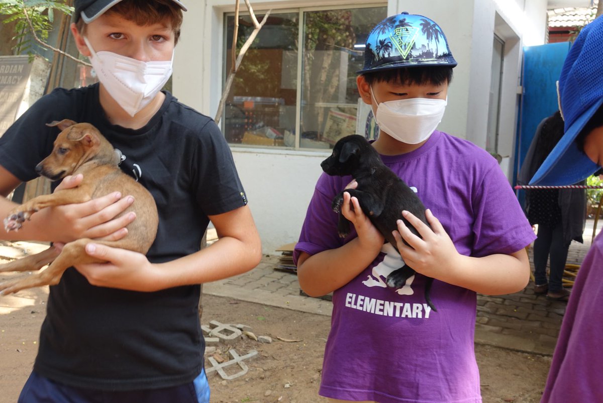 AISCAthletics's tweet image. #AISCASA Roots &amp;amp; Shoots advisors and students visited Blue Cross last weekend. A huge shout out to the team for taking an initiative to make a difference for animals, people and the environment. @AISChennai  @bleontheen