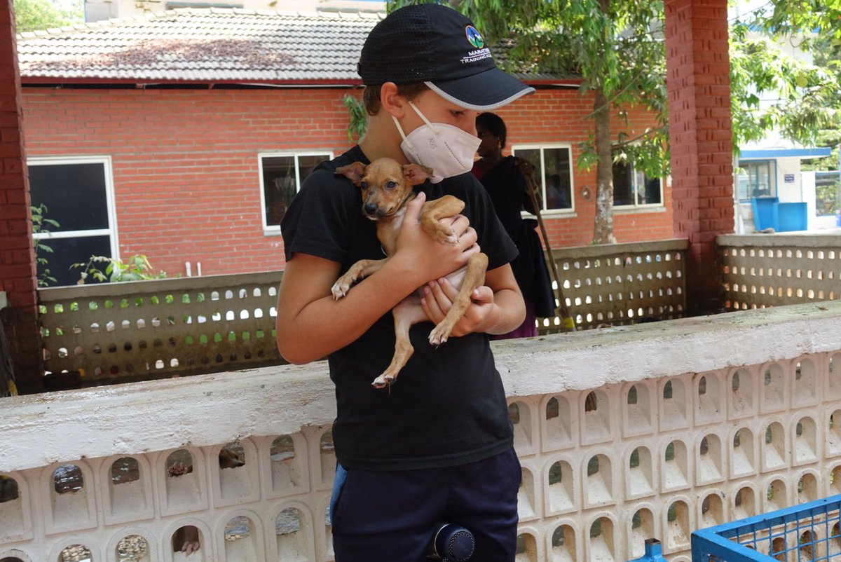 AISCAthletics's tweet image. #AISCASA Roots &amp;amp; Shoots advisors and students visited Blue Cross last weekend. A huge shout out to the team for taking an initiative to make a difference for animals, people and the environment. @AISChennai  @bleontheen