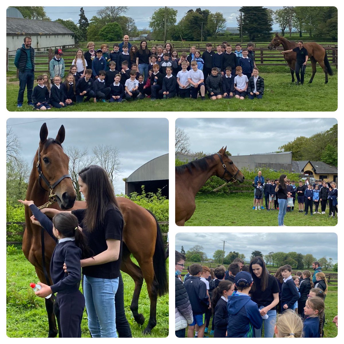 Wonderful to have the kids of Manister National School to Rathmore to welcome Honeysuckle back from @HenrydeBromhead for her summer holidays!! And look who turned up to meet them all!! @rachaelblackmor 🤩 👸 👸 🏆 🌟 2 stars, 2 queens of racing @HRIOwners @HRIRacing