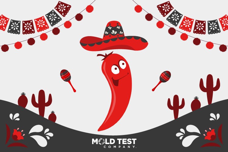 test_mold's tweet photo. Life is a fiesta-Happy Cinco de Mayo!

#cincodemayo #moldtestcompany #instalove #celebrate https://t.co/GIEkwDylmY