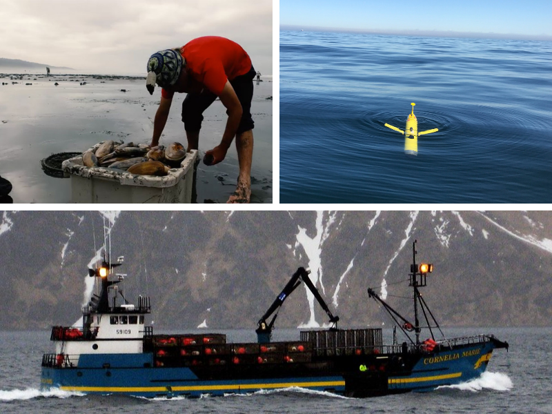 OA_NOAA's tweet photo. Community partnerships, technology development, and economic forecasting inform management decisions about how we can adapt to #OceanAcidification and #OurChangingOcean.
#OAinMay #CommunityScience #EcologicalForecasting #ResourceManagement https://t.co/drdtTpL9e7