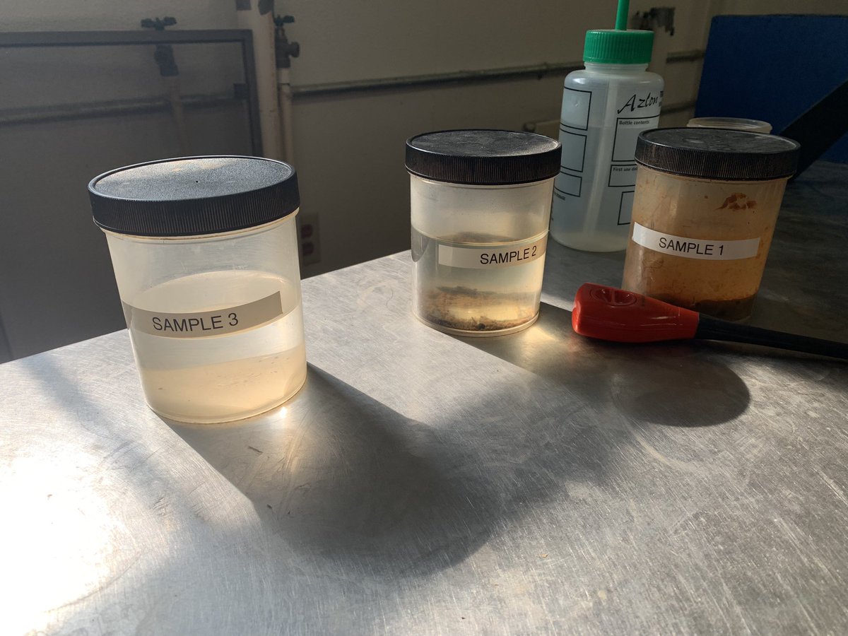 Mrs. Danker (Alberse) tweet media