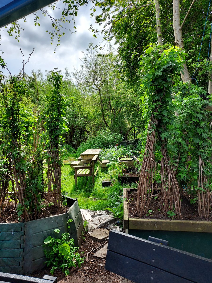 suzannefagence's tweet photo. Wonderful afternoon with our new ecotherapy group @StNicksFields - thanks to @RuskinToday for supporting our project.  
We drew leaves, studied a nest, wrote mini poems, planted seeds &amp; talked about Ruskin's way of looking at the natural world. A robin sampled the custard creams. https://t.co/0cnLmKgE81