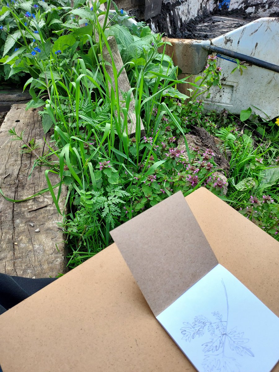 suzannefagence's tweet photo. Wonderful afternoon with our new ecotherapy group @StNicksFields - thanks to @RuskinToday for supporting our project.  
We drew leaves, studied a nest, wrote mini poems, planted seeds &amp; talked about Ruskin's way of looking at the natural world. A robin sampled the custard creams. https://t.co/0cnLmKgE81