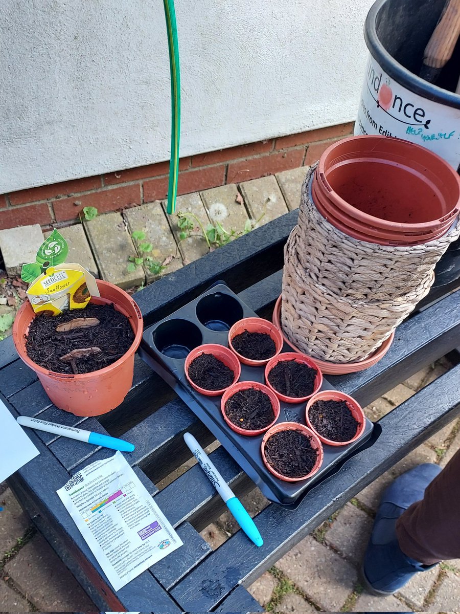 suzannefagence's tweet photo. Wonderful afternoon with our new ecotherapy group @StNicksFields - thanks to @RuskinToday for supporting our project.  
We drew leaves, studied a nest, wrote mini poems, planted seeds &amp; talked about Ruskin's way of looking at the natural world. A robin sampled the custard creams. https://t.co/0cnLmKgE81