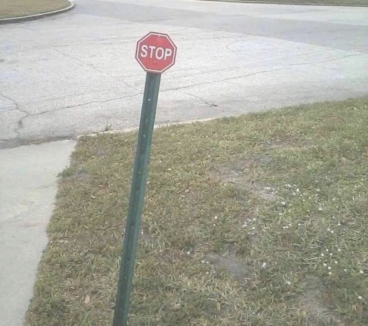 Me telling my teammate to stop and calm down because I don’t want her to get a yellow card, but I kinda wanna see what happens at the same time