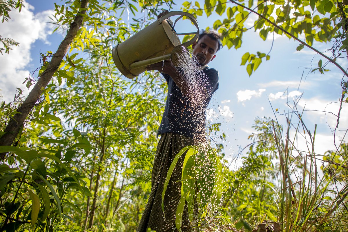 Out of the woods and into the future: @FAO's #SOFO2022 report explores 3 potential pathways for achieving green recovery.🌳

Join @FAOBrussels, @FAOGeneva & @FAOForestry to plunge into the report's data and analyses.

🗓️ 9 May, 11:00-12:00 CET
👉bit.ly/3OXNH4V