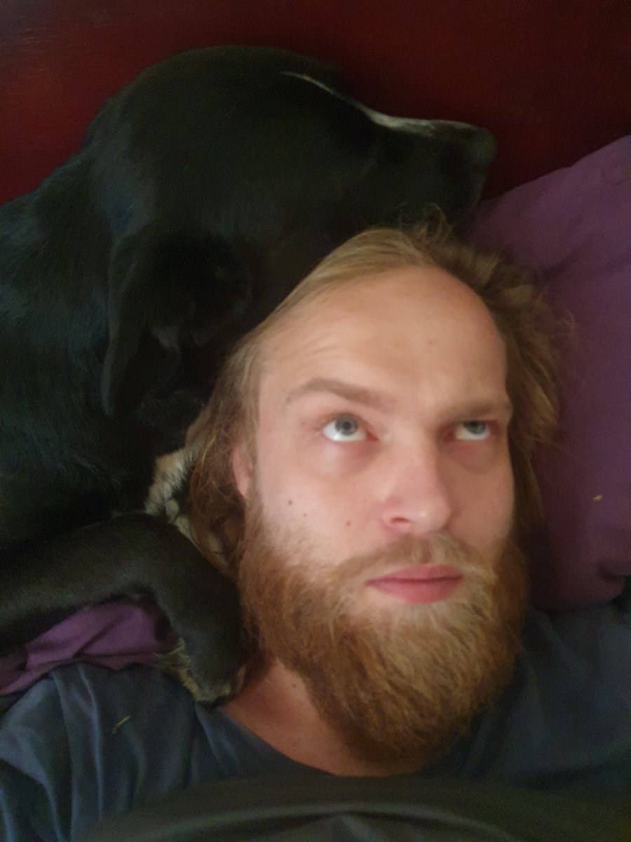 nitrocity7's tweet photo. @Djshadow49991 @PWN3D_by_awoman @_chaosqueen1 @AkazukinChar3 @DinaVeeTweets @themodernnmom @A_stocky @goldnpersephone @Larzy_Official @RedMorningLit A freshly woken up by a needy dog selfie good enough? 😅 https://t.co/goxk0hriQM
