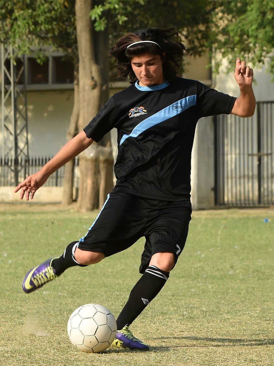 hypocaust tweet media