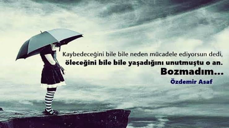 Poyraz (@poyraz141813952) on Twitter photo 