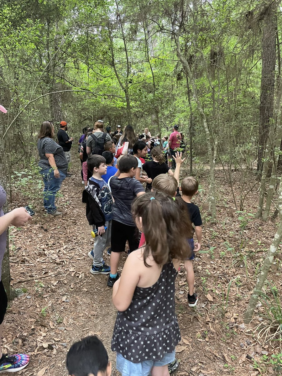 kelmoore23's tweet photo. @WISDParmley field trip to SHSU State Park!  #naturewalk #spidersandbugs #ParmleyPROUD https://t.co/OZr4fV8qX1