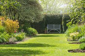 WorkshopFixers's tweet photo. @VeriveGardens Ive been meaning to have a garden makeover for a while. Thank you @VeriveGardens, it looks spectacular!!👍 https://t.co/zYukdElqFU