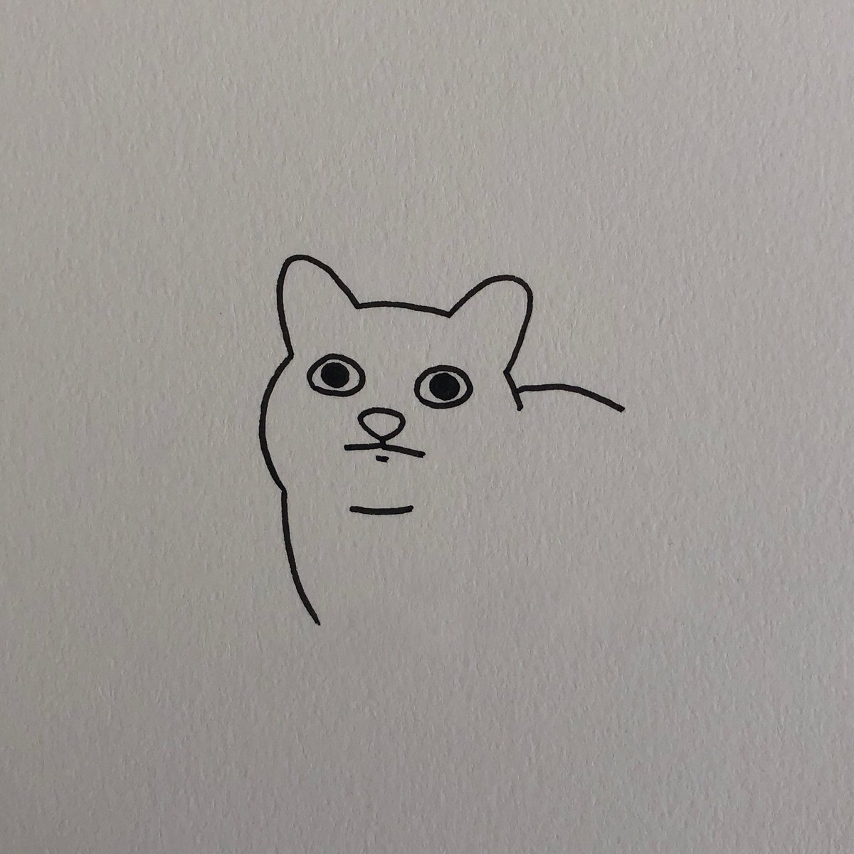 poorlycatdraw's tweet photo. 😐 https://t.co/xX4Zc0UMFD