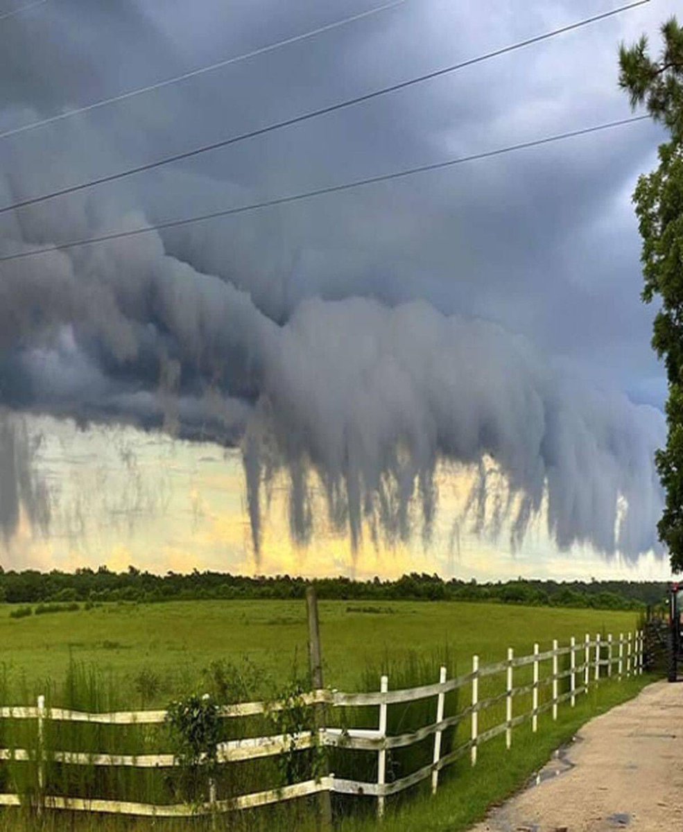 BluesignV's tweet photo. These are called Scud clouds. This was captured in South Carolina.

photographer by 📸 Zachary Lane https://t.co/kd8sw03ckh