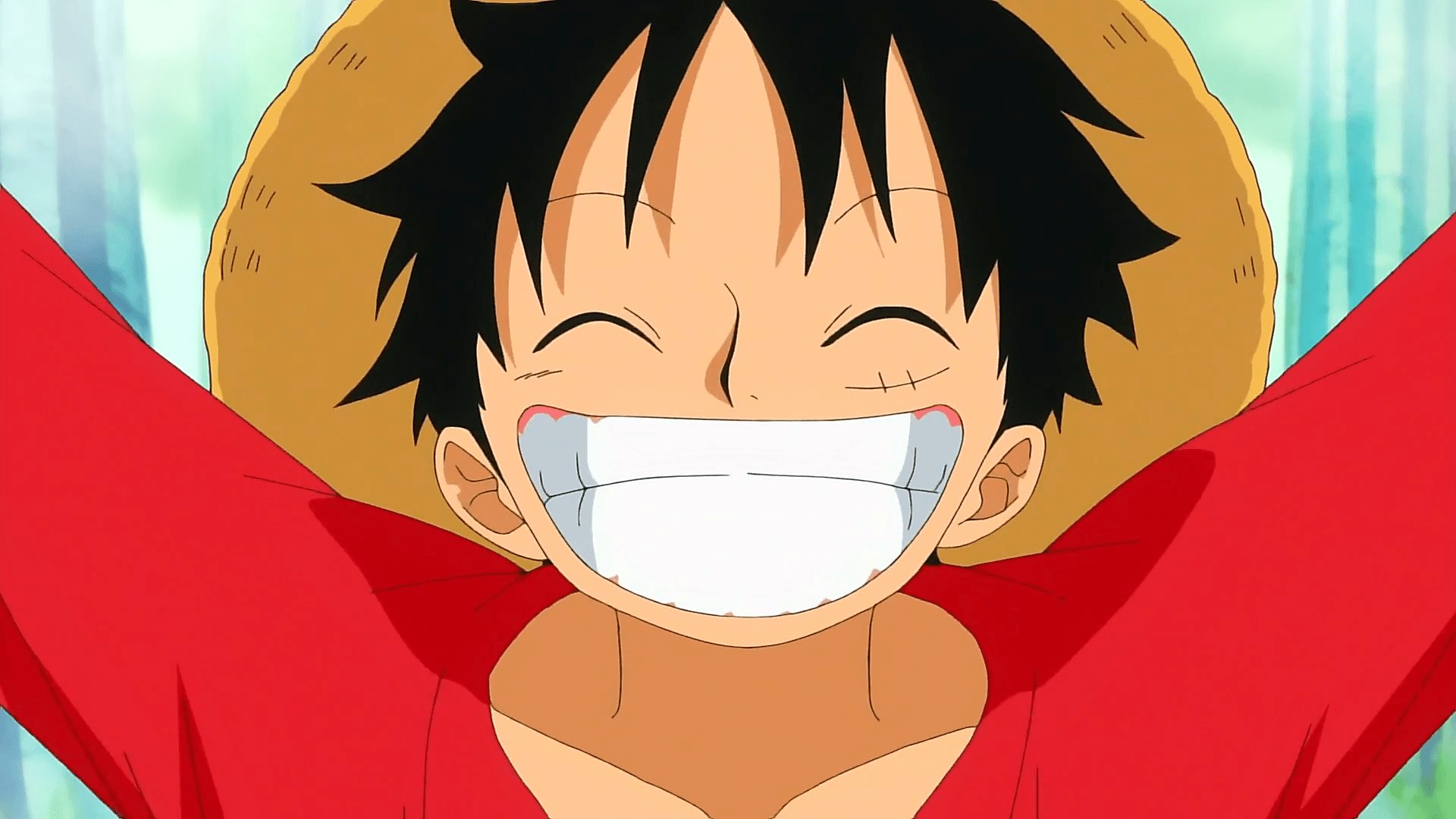 One Piece Hand run Set Up Confiant Sourire Visage Luffy - Temu Canada