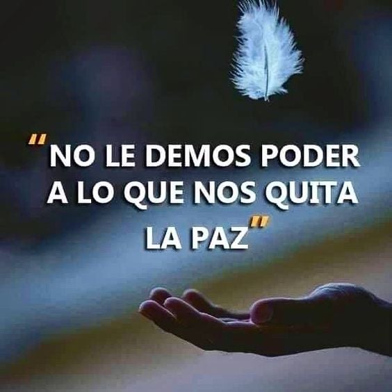 avanzandoacasa's tweet photo. Un minuto en un pensamiento negativo deja el sistema inmunitario en una situación delicada durante seis horas.

Mario Alonso Puig https://t.co/Hp6gBYNhpd