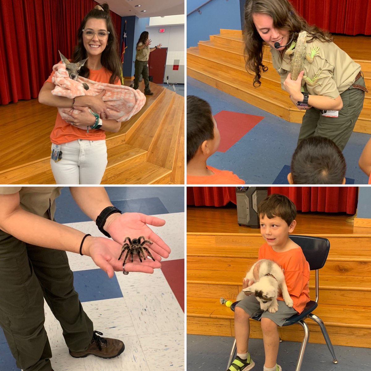 Melanie Graham tweet media