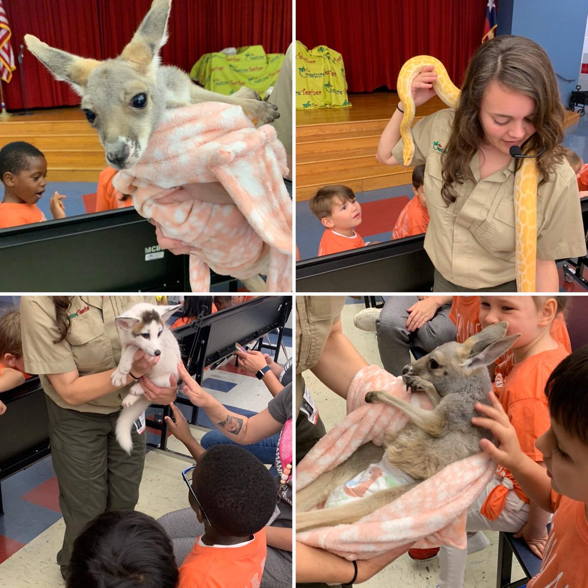 Melanie Graham tweet media