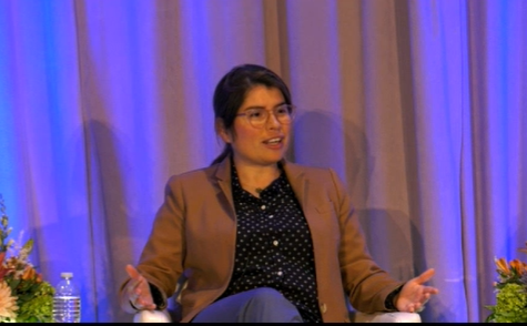 NovogradacNews's tweet photo. Cat Vielma of @rsequity explains how the 4% LIHTC fix affects the amount of tax credit equity RAD transactions can raise. #NovocoRAD https://t.co/cPjBYCTiDS