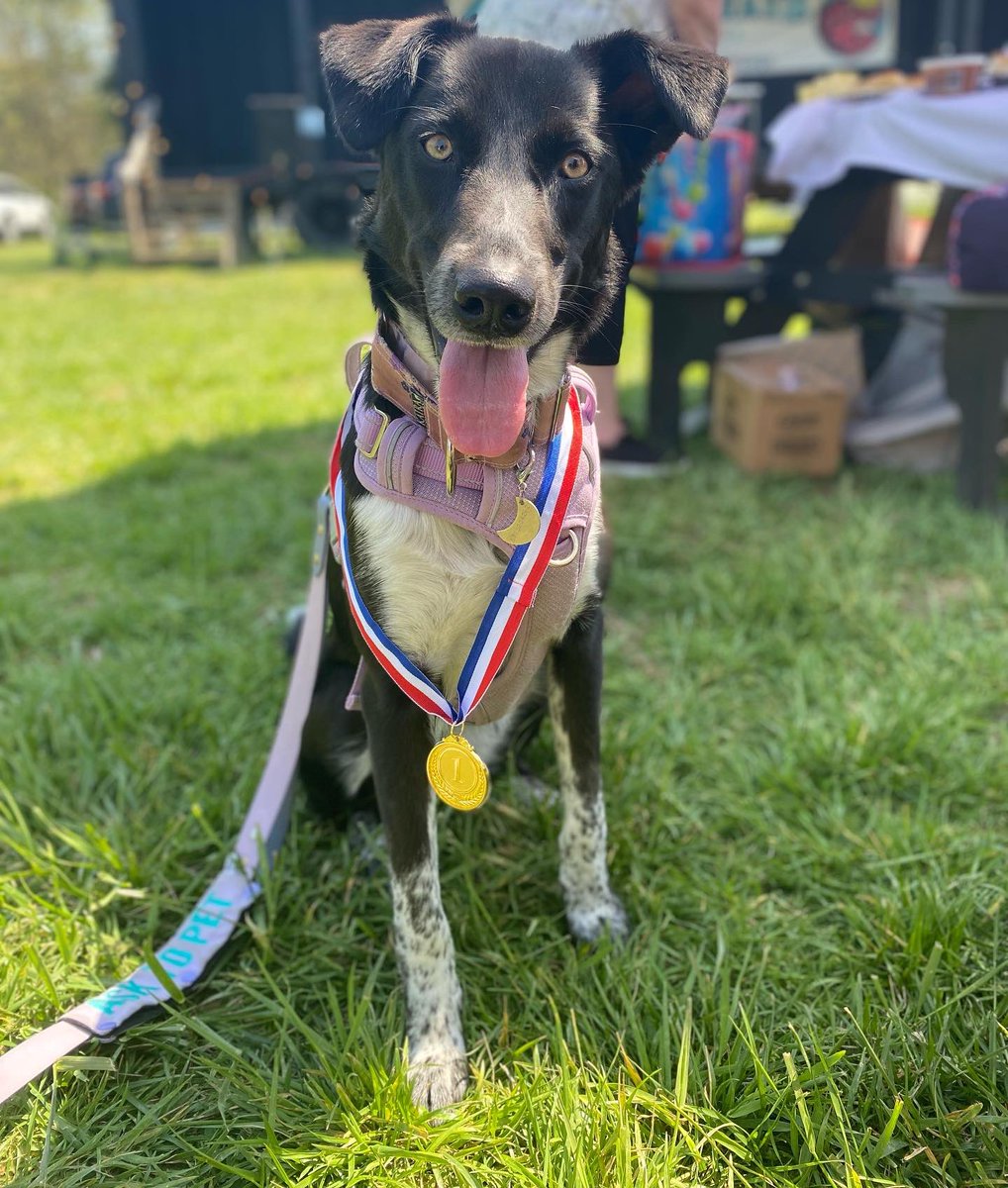 KLPenington's tweet photo. @HillaryMonahan my girl won first place for best trick last weekend and I swear she was even more proud about it than me https://t.co/1VvXqmbqeY