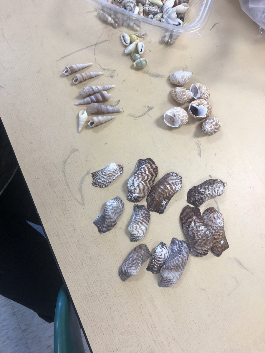 ShannonHatton23's tweet photo. Spring has sprung and young scientist across the district are studying plants, animals, insects, and life cycles! @SCSDScience @FranklinSCSD @syracuselatin @DrWeeksSCSD @FranklinSCSD https://t.co/H74JDGfKFL