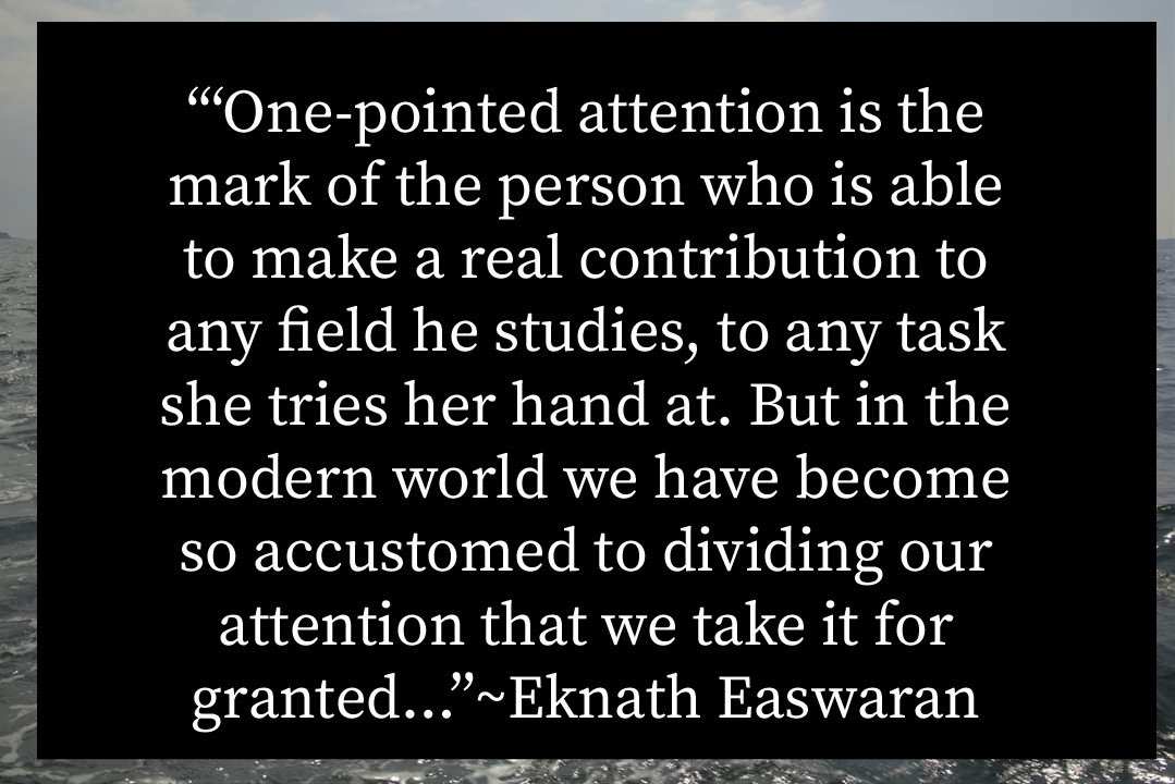 LindsScottSees's tweet photo. #EknathEaswaran #focusedattention #attention #meditation #mindfulness #onepointedmind #onepointedattention #attentiontraining #diffuseattention #diffusemind #multipointedattention #multipointedmind #multitasking   #organizationalmanagement #organizationalbehavior #timemanagement https://t.co/UTEpjscOcI