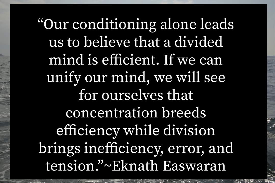 LindsScottSees's tweet photo. #EknathEaswaran #focusedattention #attention #meditation #mindfulness #onepointedmind #onepointedattention #attentiontraining #diffuseattention #diffusemind #multipointedattention #multipointedmind #multitasking   #organizationalmanagement #organizationalbehavior #timemanagement https://t.co/UTEpjscOcI