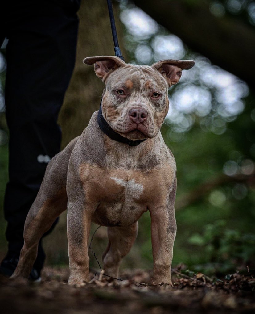 Kayikçi (@el_kayikci) on Twitter photo 