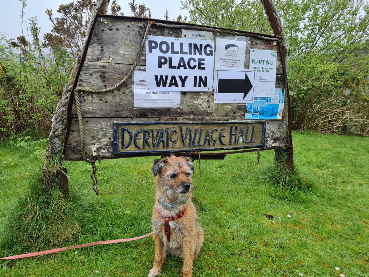 SallyCostelloe's tweet photo. Katy says don't forget to vote!

#dogsatpollingstations #dogsatpollingplaces
#borderterriersoftwitter
#btposse https://t.co/VBm7xkk72z