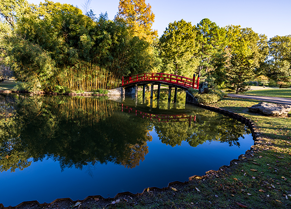 Orion_5K's tweet photo. Bringing your kiddos to the #Orion5K? @MemphisBotanic will have a kidsβ activity at the Street Party! Join us for the #Orion5K, then make plans to enjoy #MemphisBotanicGarden! Where you can connect with nature and stroll through 30 specialty gardens!
(π· : Mike Kerr) https://t.co/bVuHstE6Bn