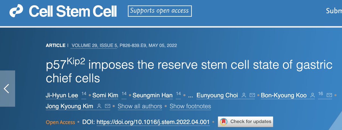 The_Choi_Lab's tweet photo. Check this out!  Our latest international collaborative work on the function of p57Kip2 in chief cell plasticity is just out in Cell Stem Cell.  Led by Drs. Eunyoung Choi, Bon-Kyoung Koo and Jong Kyoung Kim. https://t.co/0VBbI18GlA https://t.co/sdc7X74Pr5